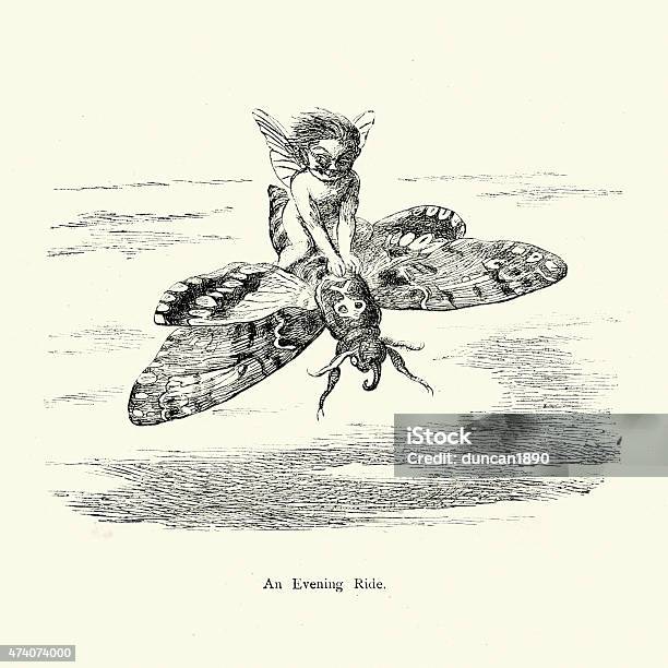 Fairy Flying On The Back Of A Moth Stock Illustration - Download Image Now - Fairy, Fairy Costume, Butterfly - Insect