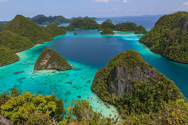 istock Wayag island viewpoint,Raja ampat,Indonesia 474080146