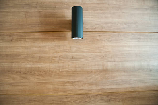 wood wall and black ceiling lamps