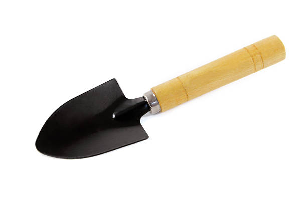 istock Gardening shovel 474083226