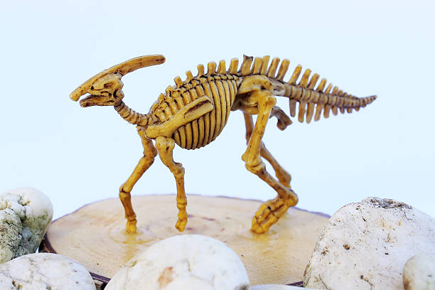 istock Plastic Toy Animal Dinosaur Skeleton 474087267