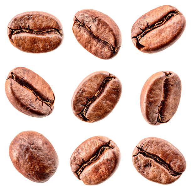 granos de café aislado en blanco.  colección - coffee beans fotografías e imágenes de stock