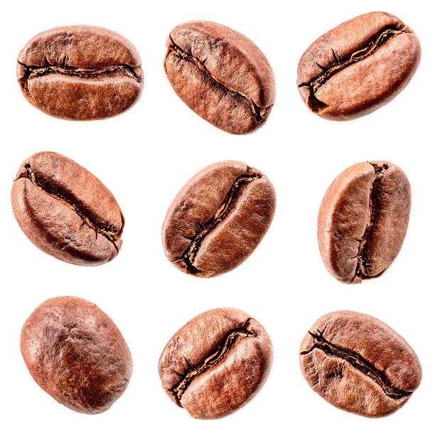 grains de café isolé sur blanc.  collection - raw coffee bean photos et images de collection