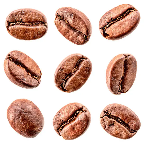 Photo of Coffee beans isolated on white. Collection