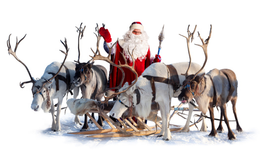 Santa Claus are near his deer in harness on the white background. He welcomes you and is waving his hand.