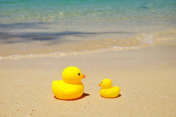 istock Little duck in the sea 474093376
