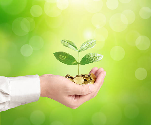 istock Holding green plant in hand 474093666