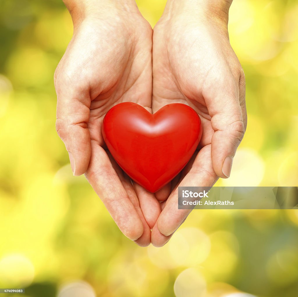 Red heart in human hands Red heart in human hands on green leaves background Active Lifestyle Stock Photo