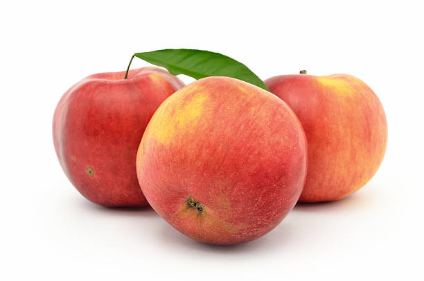 istock Red, ripe apples Jonagold isolated on white background 474101560
