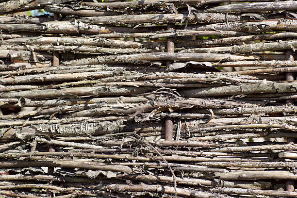 istock fragment of fence plexus branches 474104946