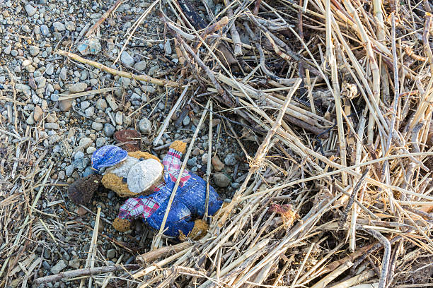 istock Lost puppet, likely the remains of a shipwreck 474105248
