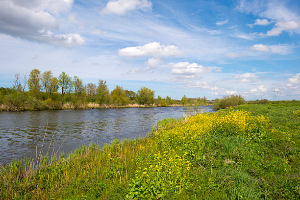 istock Wild flowers along a sunny canal in spring 474105740