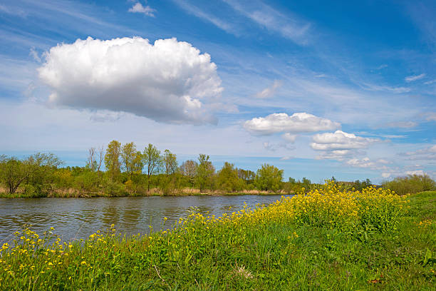 istock Wild flowers along a sunny canal in spring 474105744