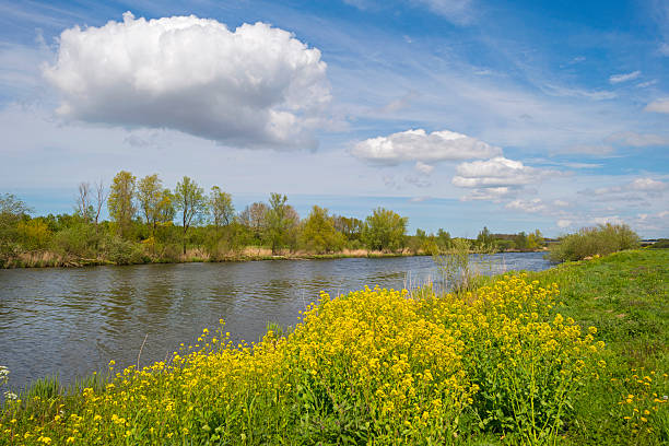 istock Wild flowers along a sunny canal in spring 474105750