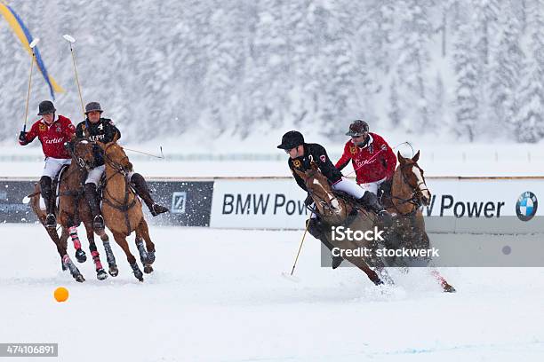 Photo libre de droit de Polo Poney À Neige banque d'images et plus d'images libres de droit de 2014 - 2014, BMW, Balle ou ballon