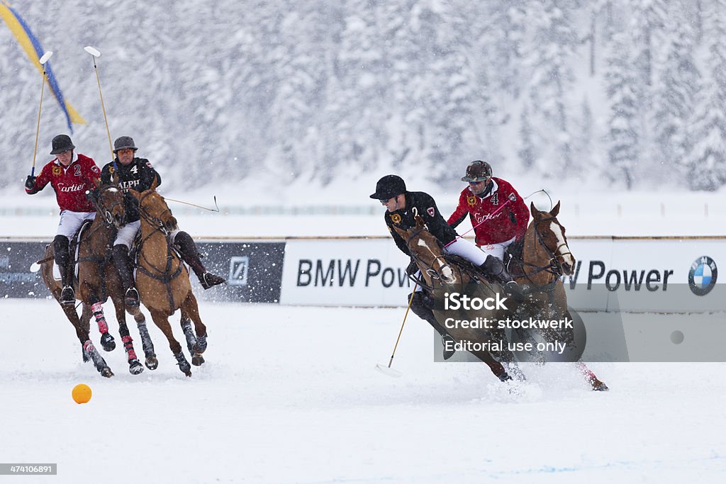 Pony Polo sulla neve a - Foto stock royalty-free di 2014