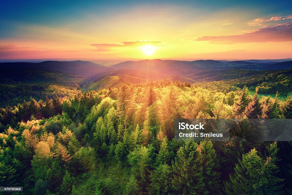 Malerischen Sonnenuntergang über den Wald - Lizenzfrei Wald Stock-Foto