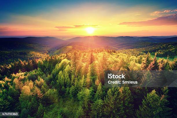 Malerischen Sonnenuntergang Über Den Wald Stockfoto und mehr Bilder von Wald - Wald, Landschaft, Sonnenuntergang