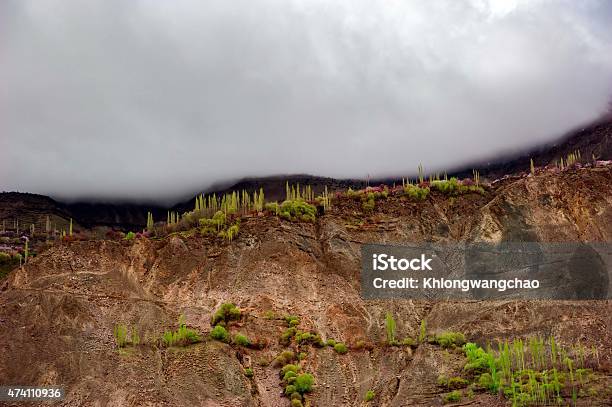 Valley In Mountain Stock Photo - Download Image Now - 2015, Adventure, Apricot