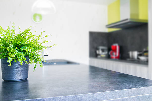 istock Green tiger fern plant pot placed in modern kitchen 474117746