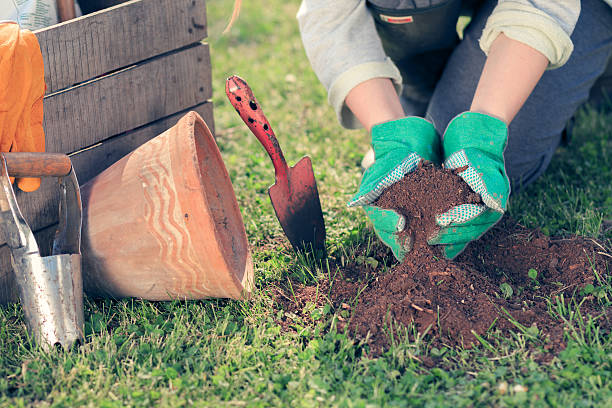 istock Young woman working in garden 474118194