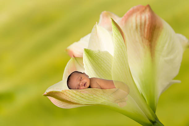 Innocent newborn baby sleeping inside a flower