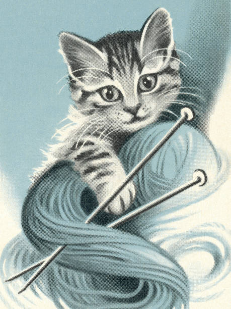 ilustraciones, imágenes clip art, dibujos animados e iconos de stock de gato y fibra - animal knitting playful colored background