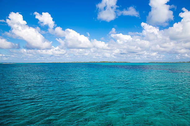 istock Landscape in Bahamas. 474127662