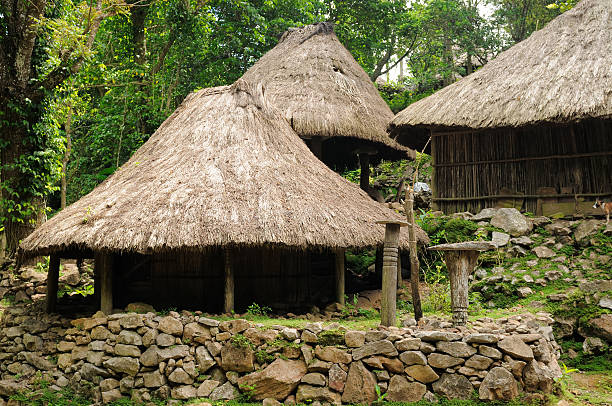 istock Ethnic straw village on an Timor island 474127802