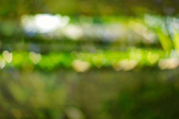 istock Love Line - Heart shaped bokeh background III 474128808