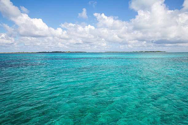 istock Landscape in Bahamas. 474135216