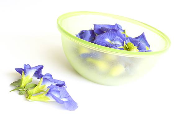 istock blue Butterfly pea flower 474135968