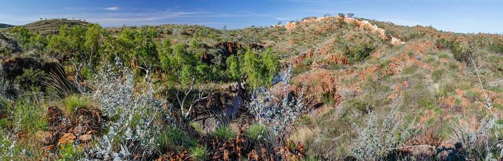 Halls Creek China Wall