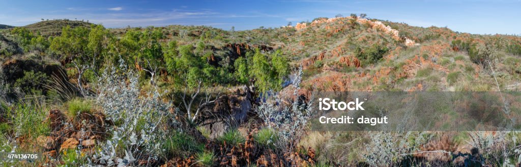 Halls Creek China Wall Stock Photo - Download Image Now - Great Sandy Desert, Tanami Desert, Adventure - iStock Halls Creek China Wall Stock Photo - Download Image Now - Great Sandy Desert, Tanami Desert, Adventure - iStock