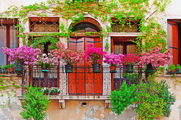 A gorgeous window and balcony with cascading geraniums at golden hour. Shot in Lecce (Puglia), Italy.