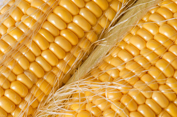 istock Grains Of Ripe Corn Closeup 474137586