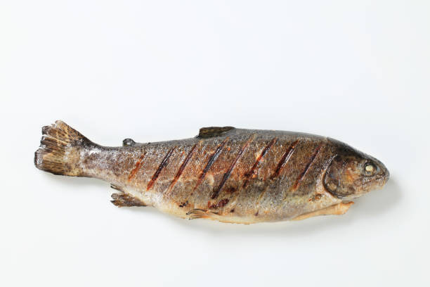 trucha a la parrilla - full length whole trout grilled fotografías e imágenes de stock