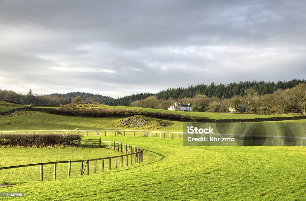 View of Cartmel Racecourse Cartmel racecourse with a house, fields and woods in the background Cartmel Stock Photo