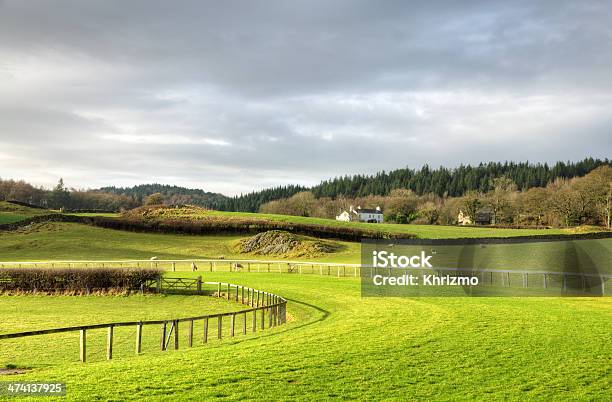 View Of Cartmel Racecourse Stock Photo - Download Image Now - Cartmel, Horse Racing, England