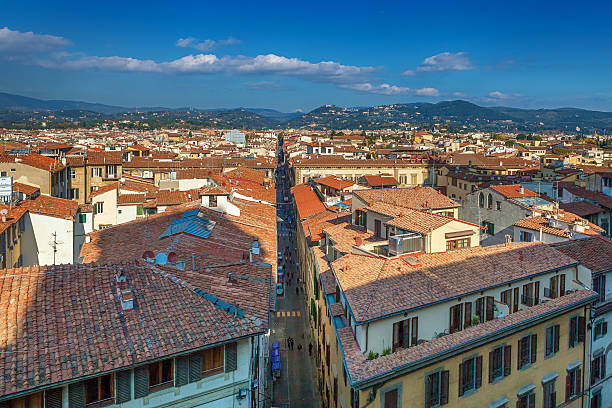 istock Aerial view of Florence 474139149