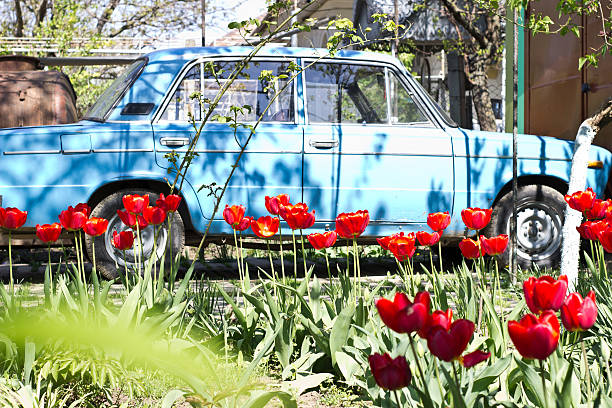 istock Beautiful flowers 474139758