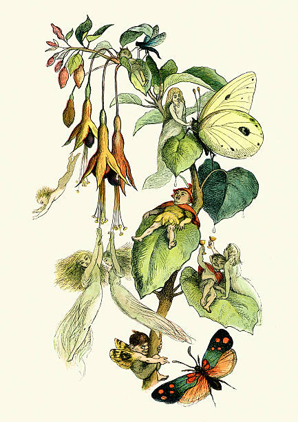 Fairies playing with butterflies Vintage engraving from the story Princess Nobody A Tale of Fairyland. Fairies playing with butterflies, Richard Doyle fairy illustrations stock illustrations
