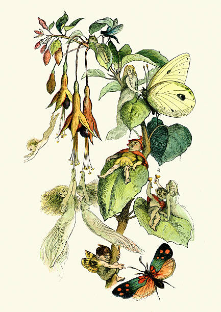 Fairies playing with butterflies Vintage engraving from the story Princess Nobody A Tale of Fairyland. Fairies playing with butterflies, Richard Doyle fairy wings stock illustrations