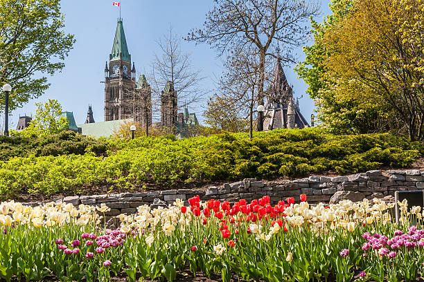 tulipa festival de ottawa - parliament hill imagens e fotografias de stock