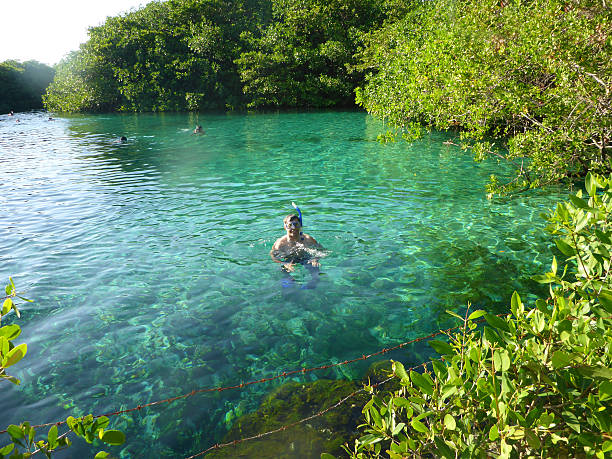 istock Man is snorkeling in a cenote in Mexico 474147914