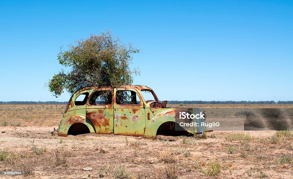 Old Car in the field Old car wreck with tree growing through its roof 2015 Stock Photo