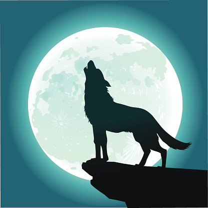 Lone Wolf Howling at the Moon
