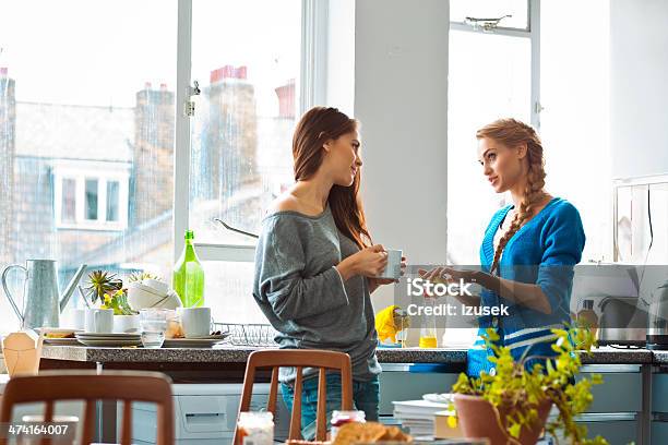Female Roommates Stock Photo - Download Image Now - Washing Dishes, Friendship, Standing