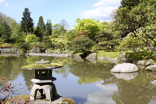 Peaceful Japanese gardens in the springtime found in Seattle Washington