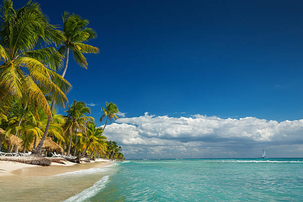 istock Landscape of paradise tropical island beach 474171736